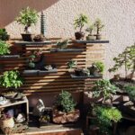 Como fazer um jardim bonsai