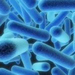 Conheça a Legionella