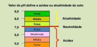 Solo ácido e solo alcalino, saiba como alterar o Ph