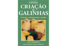 Criação de Galinhas